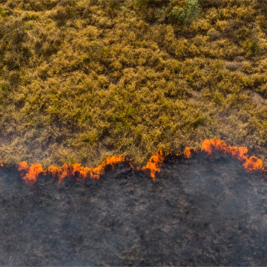 Climate Change AXA Hedron Website Banner