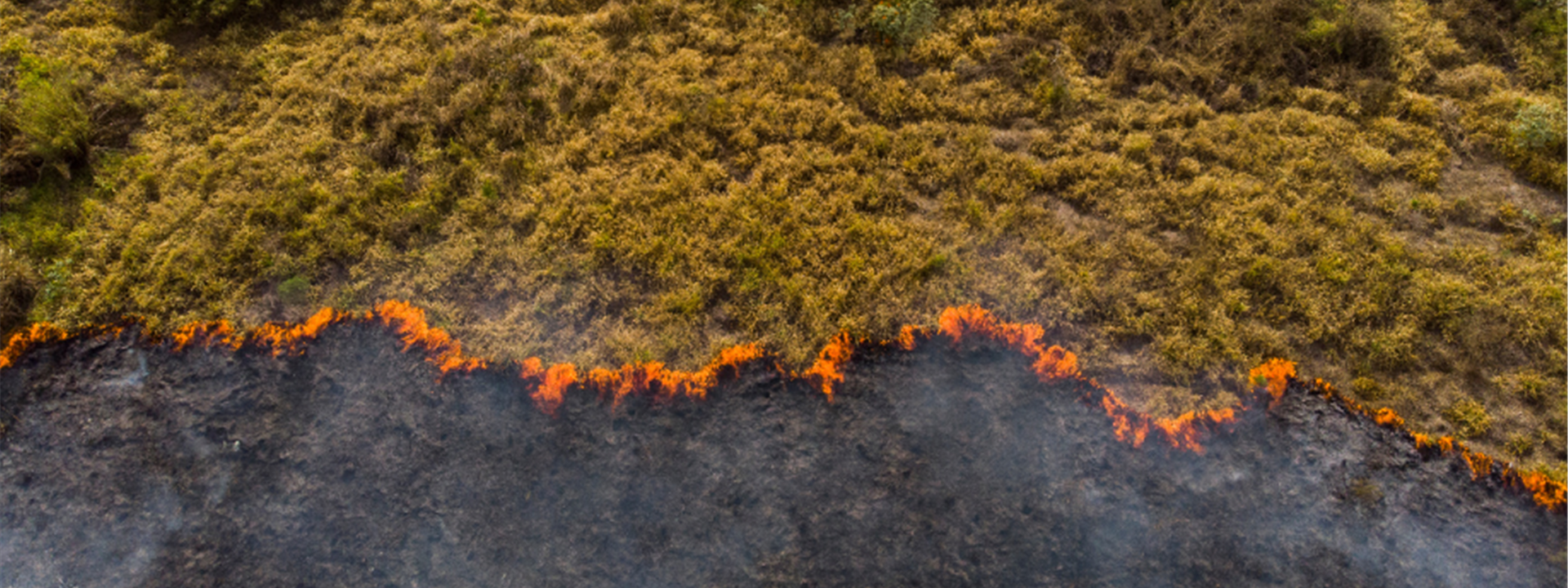 Climate Change AXA Hedron Website Banner