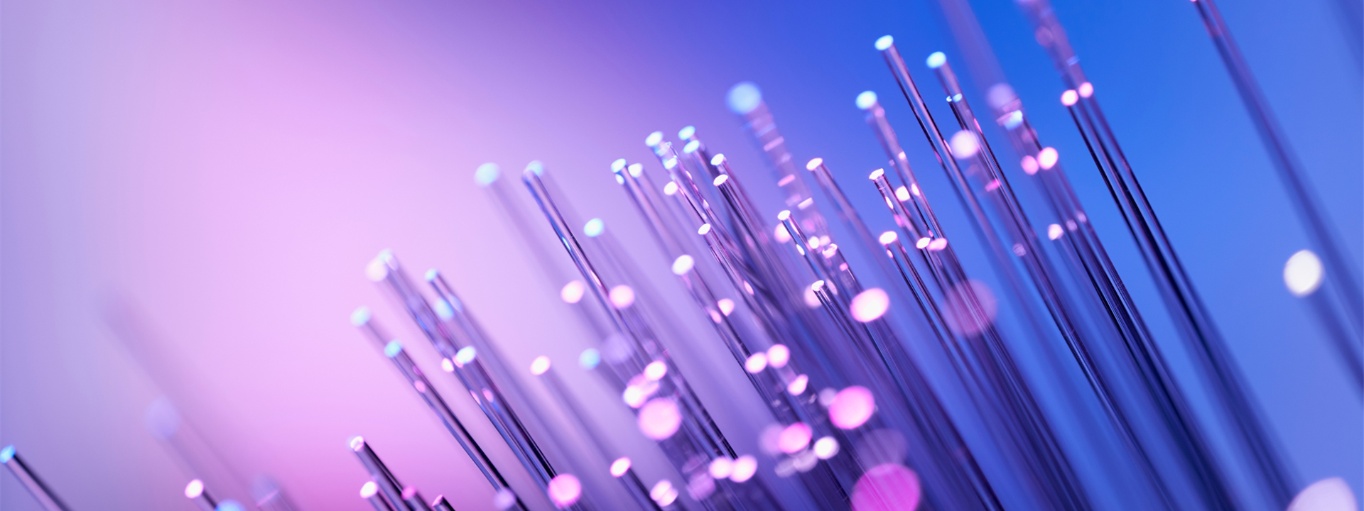 Transforming Data Collection Hedron Newsletter Website Banner
