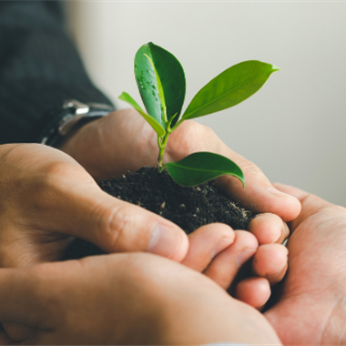 Partnering For Growth Miles Smith Hedron Website Banner