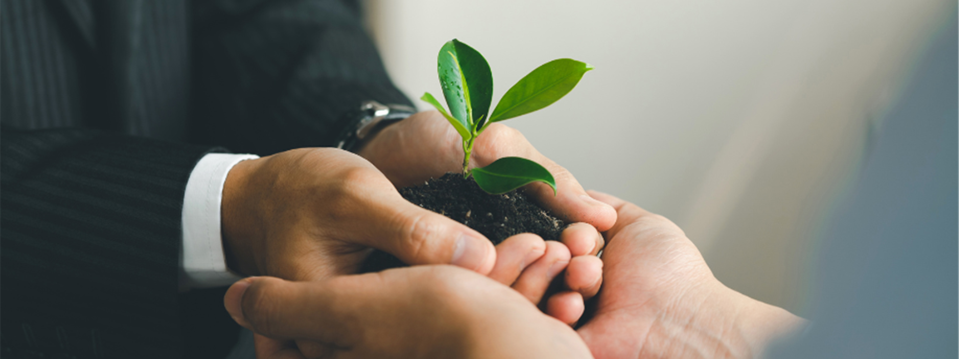 Partnering For Growth Miles Smith Hedron Website Banner